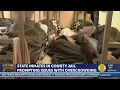 State inmate levels contributing to overcrowding in county jails