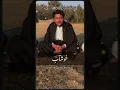 Dialects of Punjabi language in Pakistan
