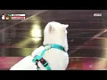 Crush (크러쉬) - Ego (미워) | Show! MusicCore | MBC231223방송