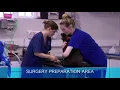 AllPets Veterinary Hospital