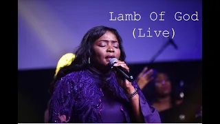 lamb of god live osene ighodaro