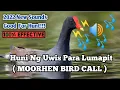 Download Lagu HUNI NG IBONG UWIS PARA LUMAPIT | MOORHEN BIRD SOUNDS | WITH FIGHTING  CALL