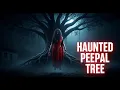 Lagu Haunted Peepal Tree | Horror Stories in Hindi | सच्ची कहानी | Siyaah Saaya