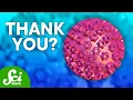 How Herpes Can Actually Be Good For You