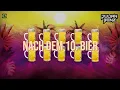 Julian Benz - Je mehr ich trinke (2k26) (Official Lyricvideo)