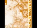 Saltwater (Extended Mix)