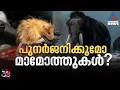 മാമോത്തുകളെ പുനരുജ്ജീപ്പിക്കാനാകുമോ?: പരീക്ഷണം ഏഴ് കുഞ്ഞൻ എലികളിൽ | Mammoth