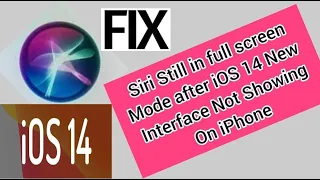 IOS 14 Siri New Interface Not Showing On IPhone Siri Not Working After IOS 14 Update 