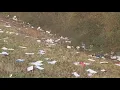 USPS mail littered on side of Georgia interstate FOX 5 News