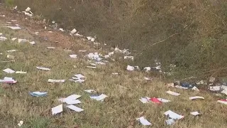 USPS mail littered on side of Georgia interstate FOX 5 News