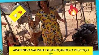 amiga que hoje abatendo galinha aqui na ro a pra almo ar 