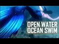 Download Lagu Open Water Swimming: Two mermaids in the wild ocean!