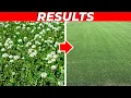 3 Weed Control Products to Kill Weeds Fast Without Killing the Grass