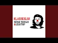 Download Lagu Den Accident Ass Geraumt