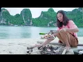 Download Lagu Solo Camping On The Pristine Beach With a Feast of Fresh Seafood - Susu Vlog [4K]