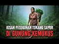 Download Lagu KISAH PESUGIHAN TUKANG SAYUR DI GUNUNG KEMUKUS‼️CERITA HOROR MISTERI‼️