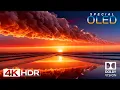 Download Lagu BEST OLED TEST in 4K Video ULTRA HD 120 FPS🌿4K HDR Dolby Vision MP3