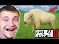 Hunting Down The Ultra Rare White Bison in Red Dead Redemption 2