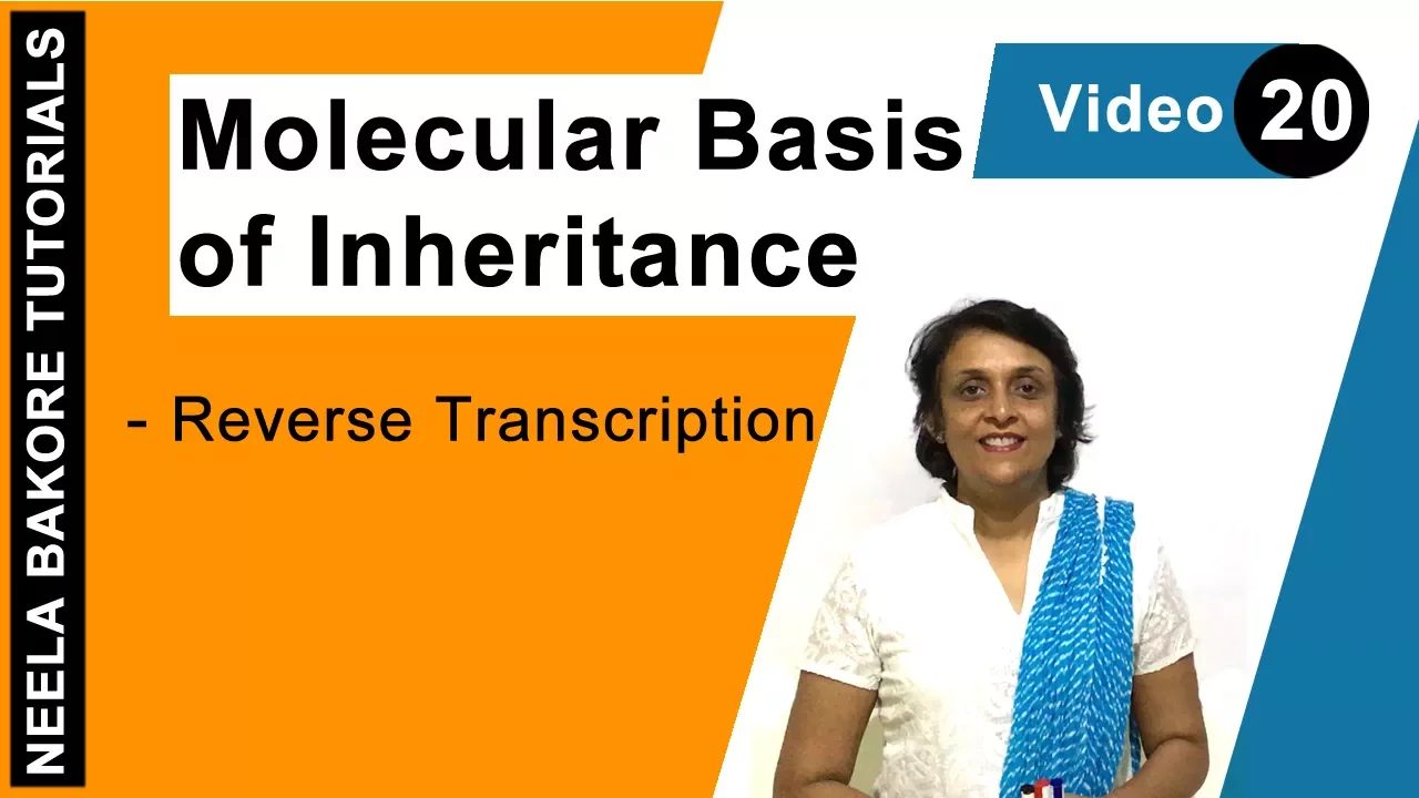 Molecular Basis of Inheritance | NEET | Reverse Transcription | Neela Bakore Tutorials