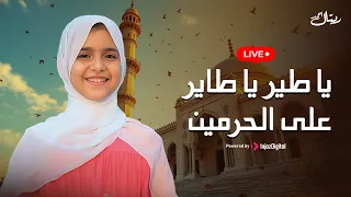 ريتال أحمد بث مباشر يا طير يا طاير على الحرمين 