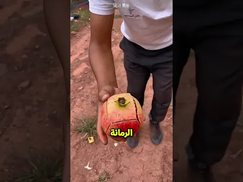 الولد بيقطع الرمان بطريقة مختلفة وبينصدم من اللي جواها😲🍈؟