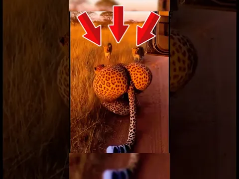 ANIMALES que FUERON demasiado lejos