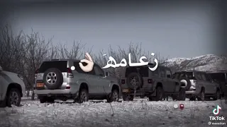 مجروده محمد البصيلي زعامه 