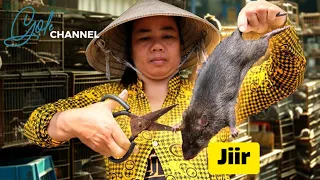Jiirka ayay Cunaan 🐀: Ganacsiga Jiirka ee Vietnam 🇻🇳