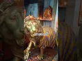 Download Lagu shar par savar hoka aja sarawaliya# viral # shorts video # trading # jai mata di # Youtubeshorts