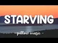 Download Lagu Starving - Hailee Steinfeld With Grey (Feat. Zedd) (Lyrics) 🎵