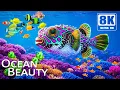 Download Lagu Amazing 8K Ocean Journey 🌊 Dive Deep and Discover Majestic Sea Creatures with Relaxing Piano Music