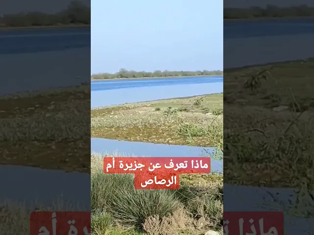 ⁣١٥ مارس ٢٠٢٣