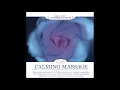 Calming Massage - Paul Tim Frantzich