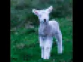 lamb (feat. Kellin Quinn)