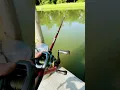 Download Lagu Well I’ve Got My Rod And I’ve Got My Bait #fishing #bassfishing #shorts #viral #trending