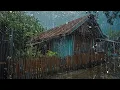 Download Lagu Suara Hujan untuk Tidur - Tertidur dalam 3 Menit dengan Hujan Lebat dan Guntur di Atap di Hutan