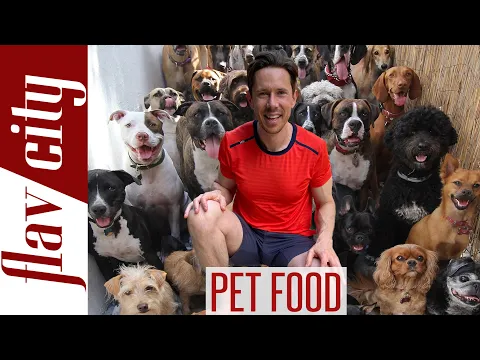 Download MP3 Pet Food Review - The BEST Food For Dogs \u0026 Cats...And What To Avoid!
