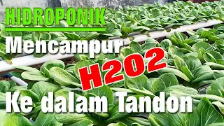 Download Mencampur Cairan H202 ke Air Nutrisi | PANEN PERDANA PAKCOY MP3