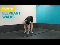 How To Do Elephant Walks Hamstring Stretch