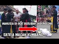 Download Lagu Atraksi debus Seni Bantengan Satria Macan Kumbang Live Kudur Gondang Mojokerto