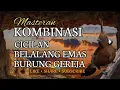 Download Lagu Masteran Kombinasi Paling Ampuh Belalang Emas Cicilan Mix Burung Gereja