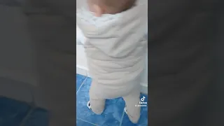 بيقولو الصبي لأمو غالي على قلبه  دندنها