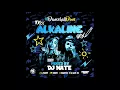 100% Alkaline Mix - Dancehall Dons 2017 @DJNateUK