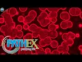 Blood Cleansing Device Removes Pathogens Path Ex