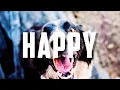 Royalty free HAPPY music, UKULELE BACKGROUND, no copyright CHILDREN MUSIC