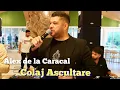 Download Lagu Alex de la Caracal ❌ Mi-a plăcut șprițul și viața \u0026 asta seară vreau să beau 🙏❤️🙏Live 2025