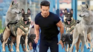 كلب بيدخل حيات شاب فاشل وغلبان ومش بيعرف يكسب القرش بس بيعمل صفقة كلاب بي وبيقدر يبقي اكبر تاجر كلاب 