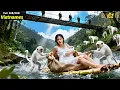 Download Lagu Nữ Tổng Tài Bị Em Gái Vứt Xác Xuống Núi, Phải Tự Tay Chôn Cất Đứa Con, 6 Năm Sau Trở Về Báo Thù