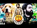 Download Lagu 777 Charlie Full Movie In Hindi Dubbed | Rakshit Shetty | Sangeetha | Bobby Simha |HD Review \u0026 Facts
