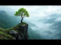 Today is your lucky day...🌿 Peaceful Guitar for Sleep | Relaxing Acoustic Guitar for Bedtime